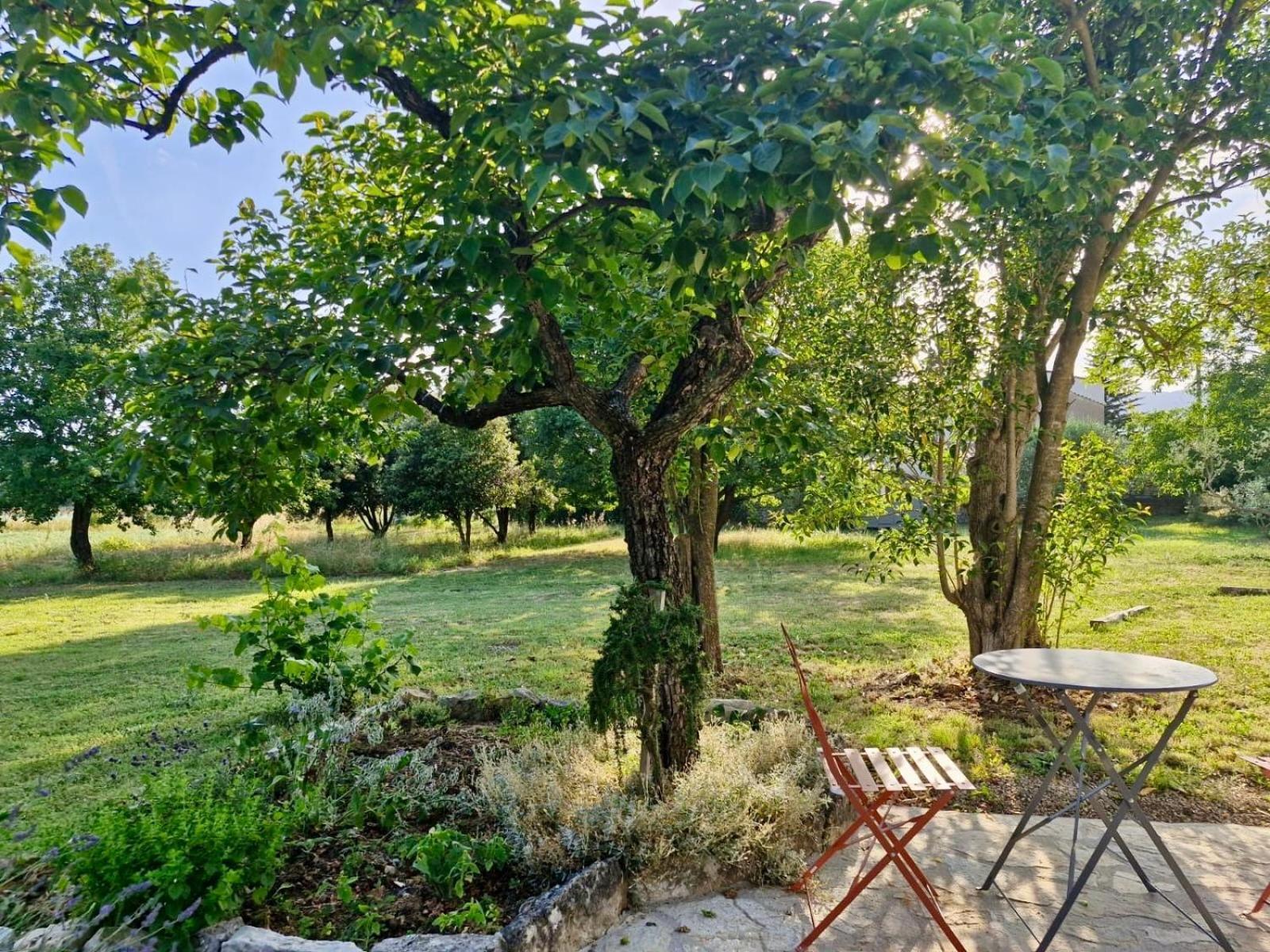La Bastideta, Leilighet Fayence Eksteriør bilde
